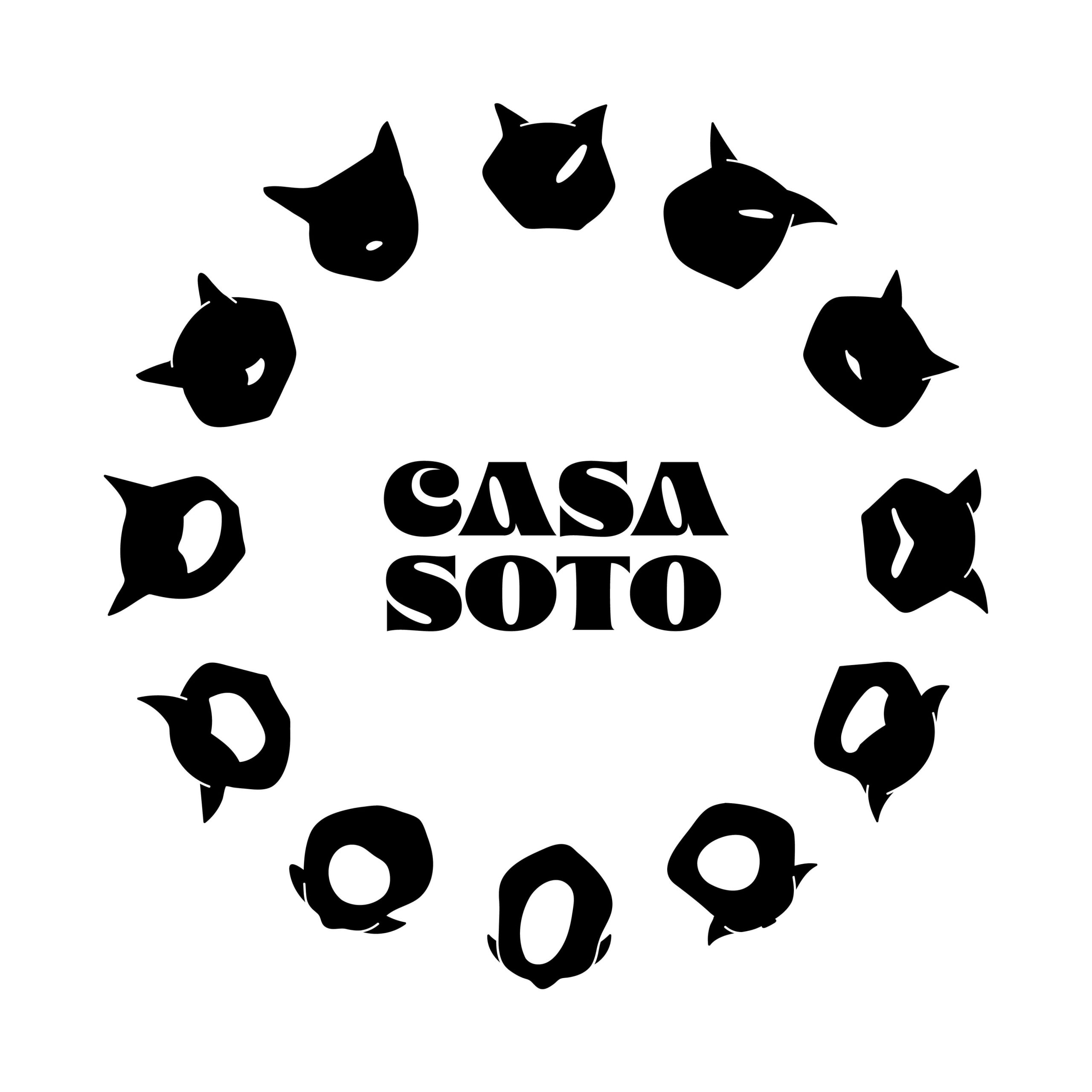Casa_Soto_Illustration